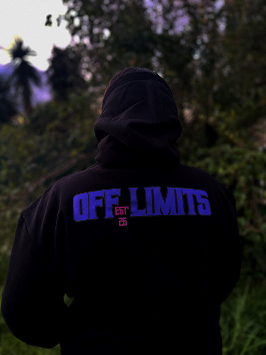 Nothing Is 'Off Limits' Womans Hoodie (Purple/Pink)