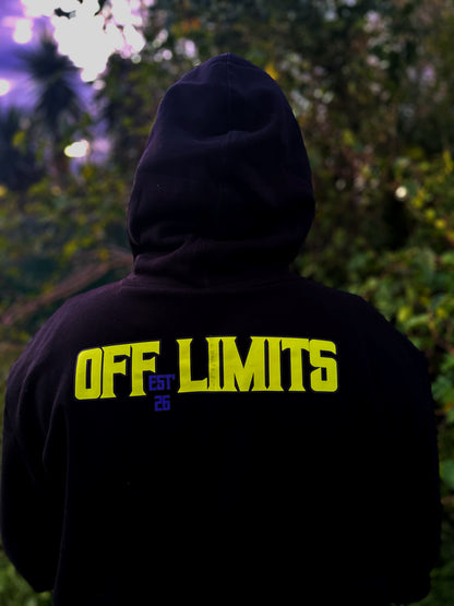 Nothing Is 'Off Limits' Mens Hoodie (Green/Purple)