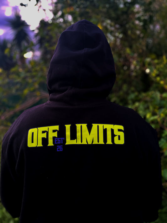 Nothing Is 'Off Limits' Mens Hoodie (Green/Purple)