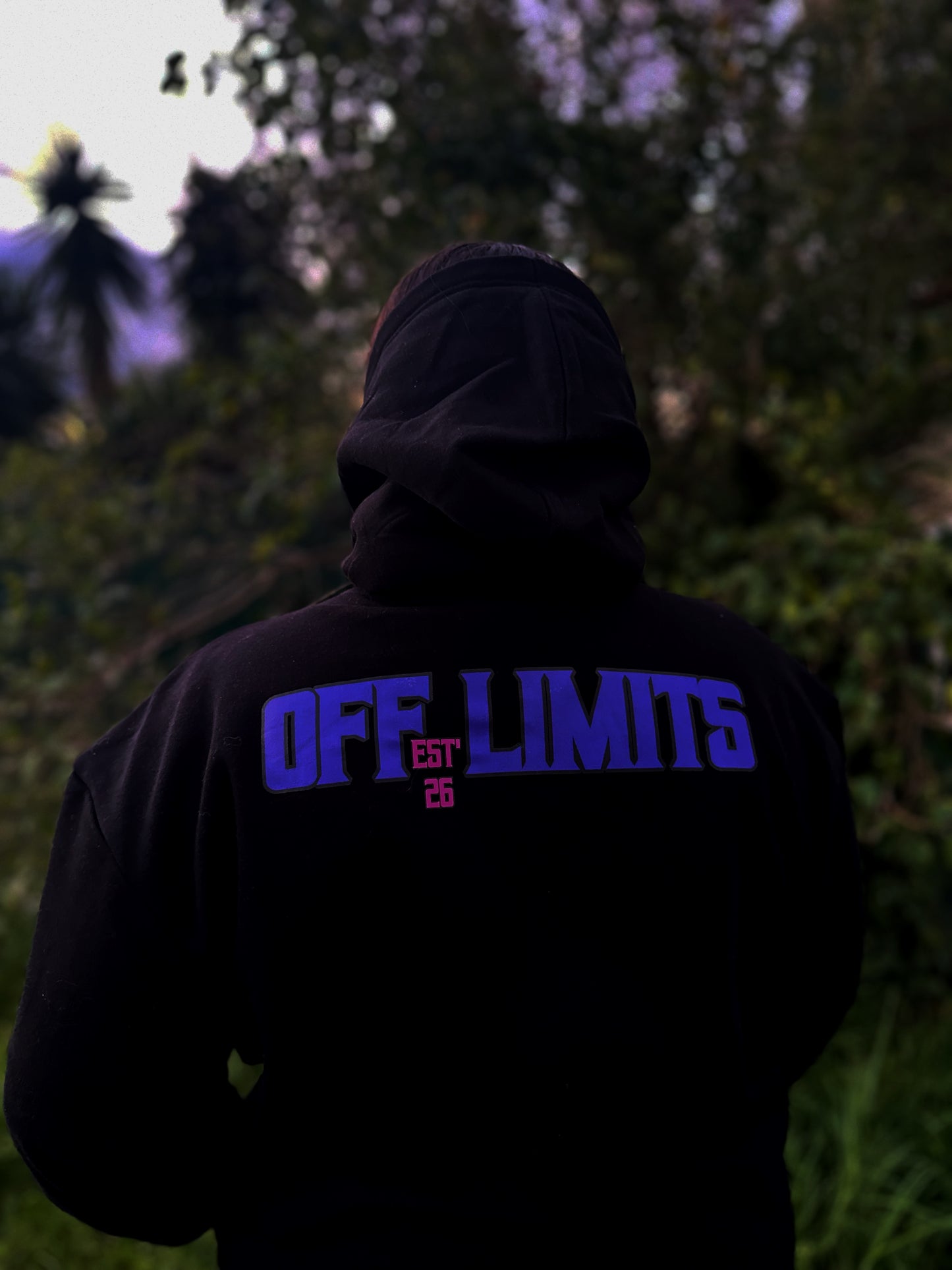 Nothing Is 'Off Limits' Womans Hoodie (Purple/Pink)