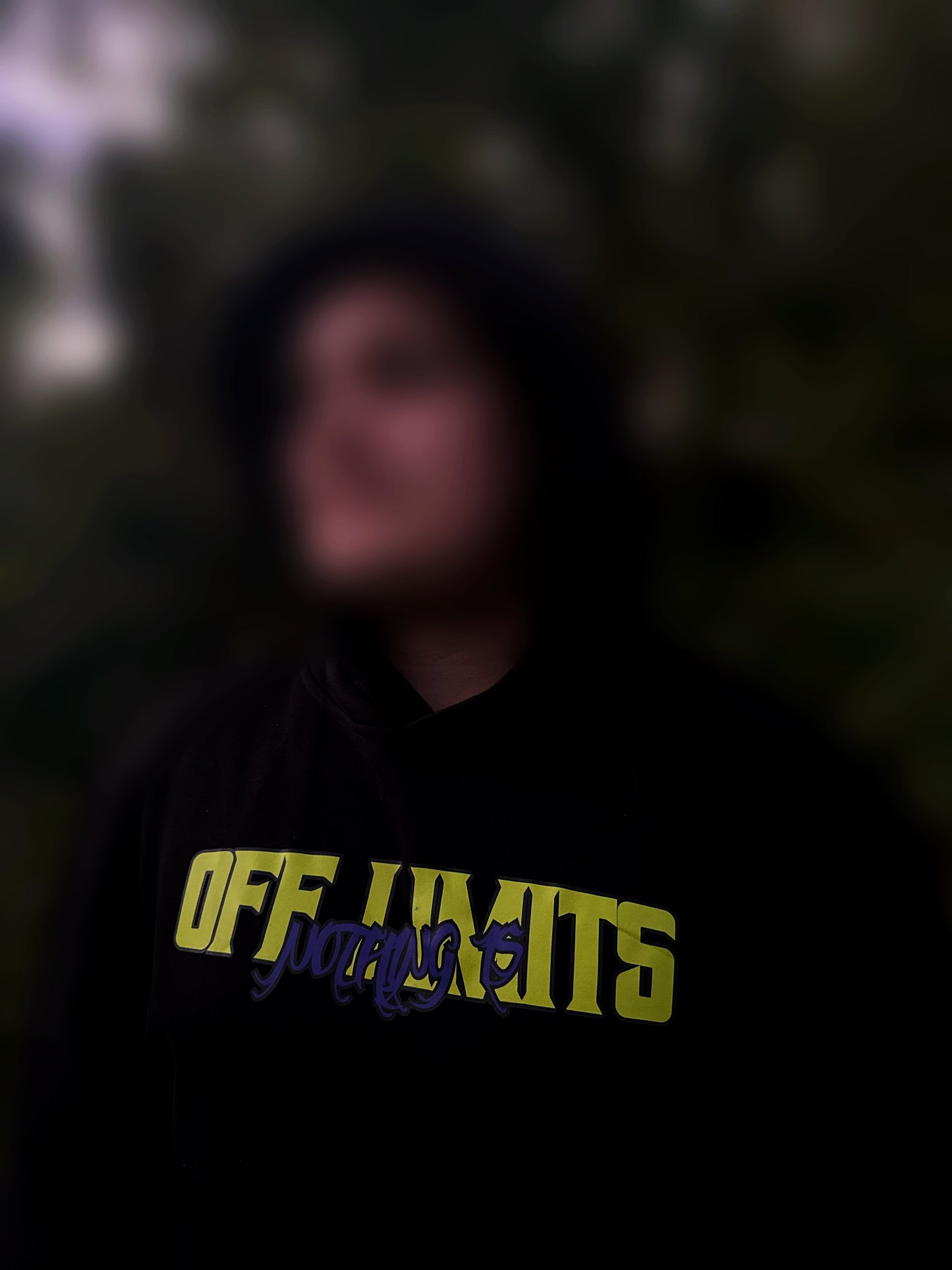 Nothing Is 'Off Limits' Mens Hoodie (Green/Purple)