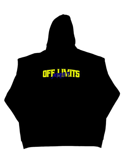 Nothing Is 'Off Limits' Mens Hoodie (Green/Purple)
